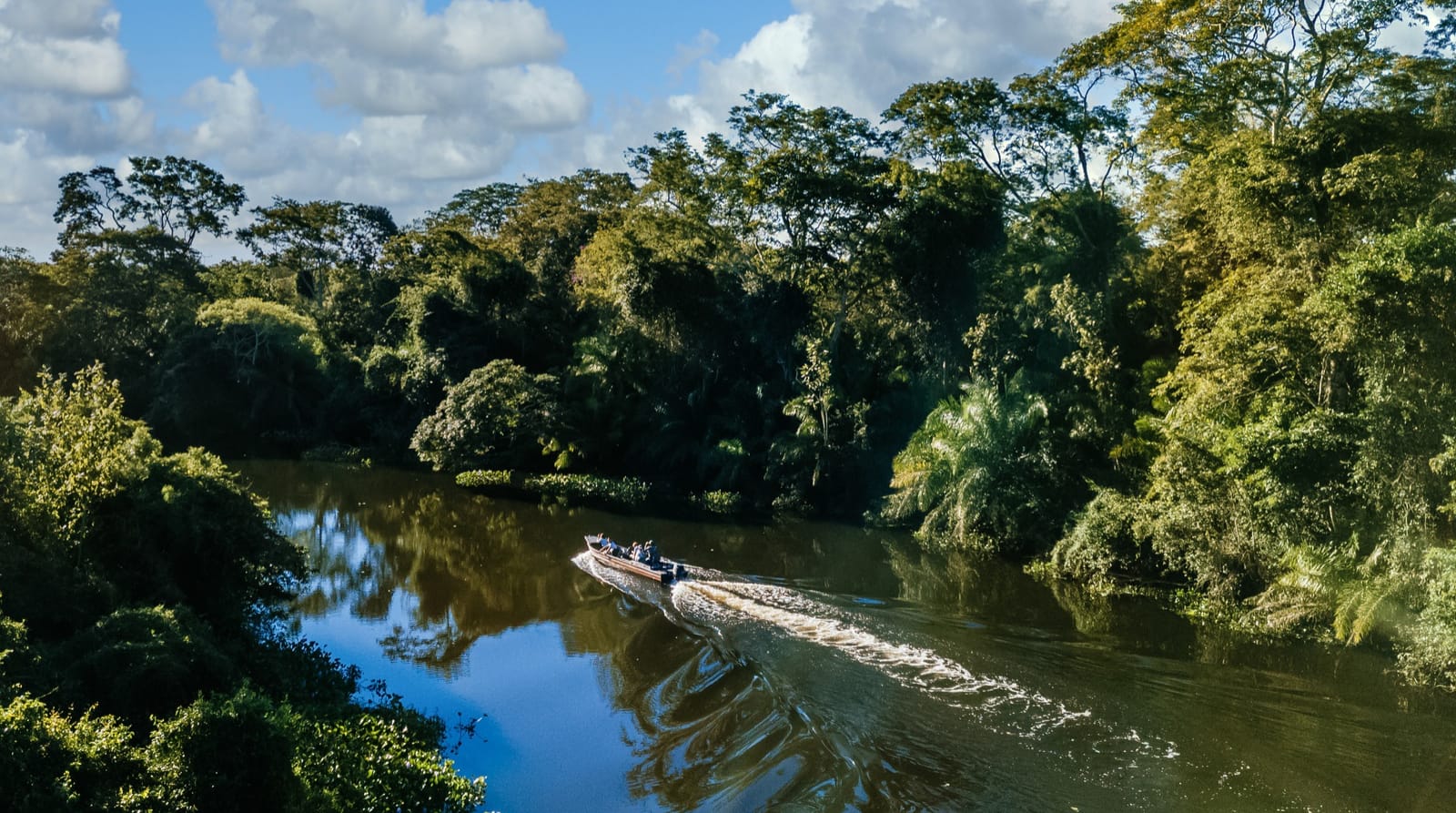 Manu National Park & Tambopata, Peru