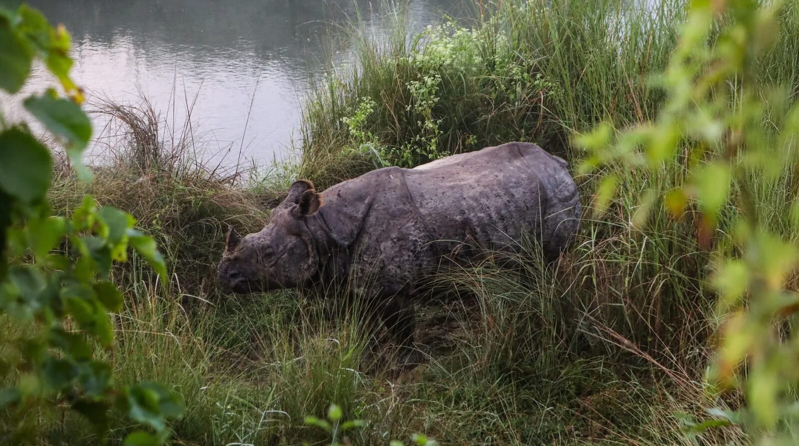 Chitwan National Park