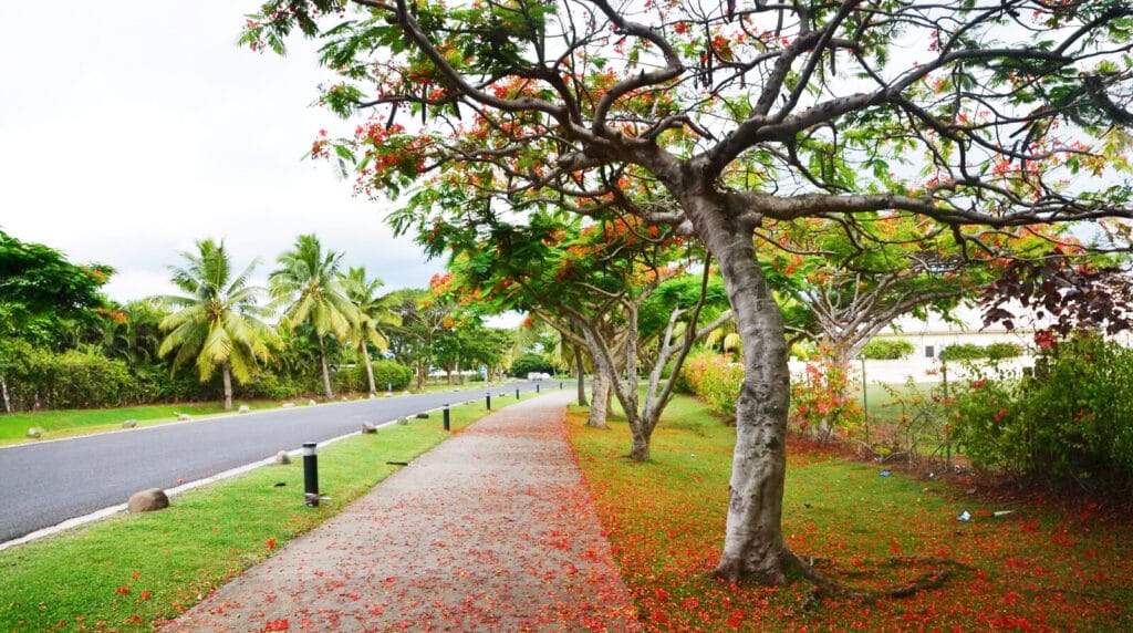 Suva, Fiji
