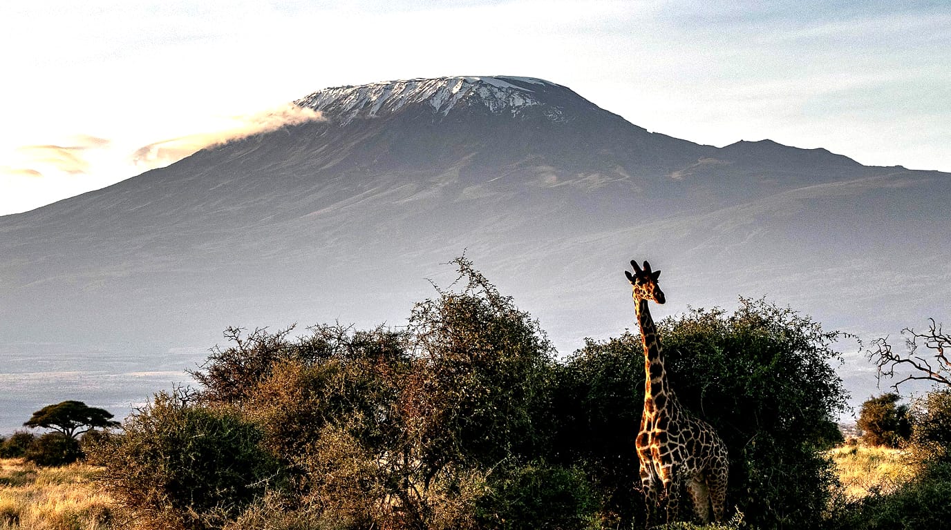 Mount Kilimanjaro: Hike Africa's Tallest Mountain!